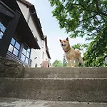 Onyx Guest house 3*