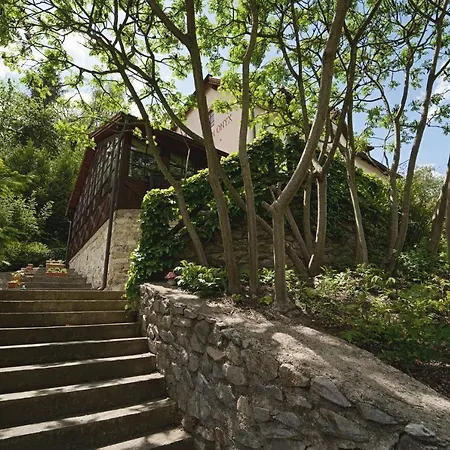 Guest house Onyx Cesky Krumlov