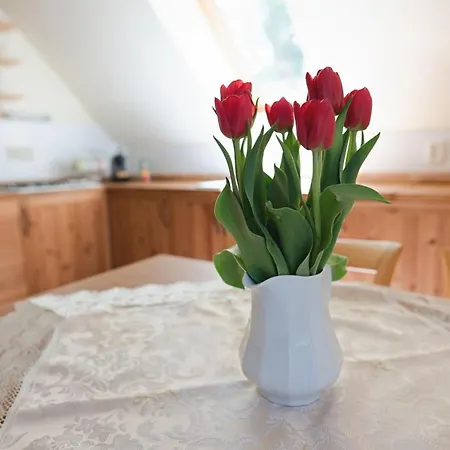 Guest house Onyx Cesky Krumlov