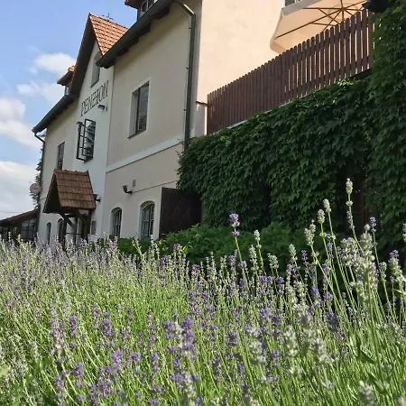 招待所 奥尼克斯酒店 Český Krumlov