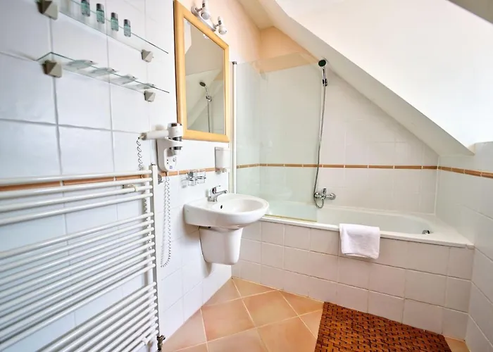 奥尼克斯酒店 3* Český Krumlov